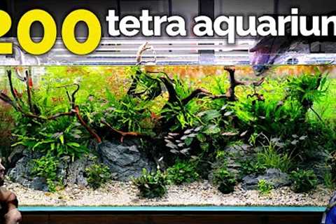 The Tetra Jungle Aquarium: EPIC 4ft 200 Fish Tank (Aquascape Tutorial)