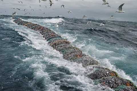 Unbelievable Big Catch Fishing In The Deep Sea With Big Boat. Frozen Fish Cutting Processing Line