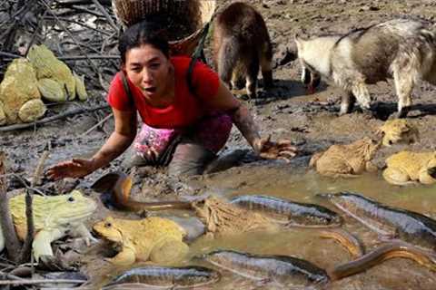 Solo in forest- Catch and cook eel frog and fish for food of survival