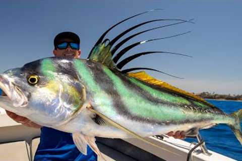 GIANT Mexican Dream Fish! Catch Clean Cook- Roosterfish (Puerto Vallarta, Mexico)