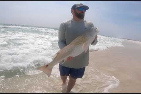Catching Fish on a Secluded Beach (Catch and Cook)