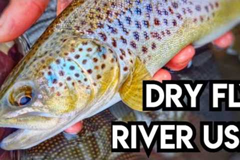 There's A Storm Coming! River Usk Dry Fly Fishing For Brown Trout