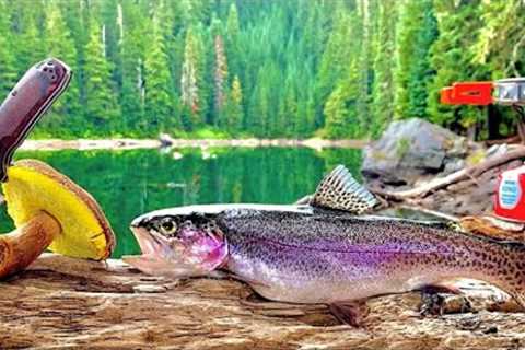 Fishing | fish market | fish trap | fishing videos