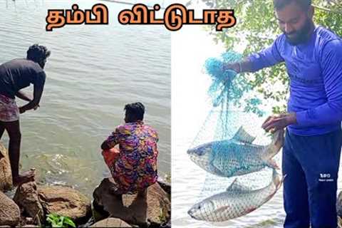 Fisherman Fishing A Rohu Fish | Carp Fishing Video | Fishing | Lake Fishing