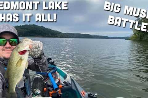 Bass fishing derby at Piedmont Lake, Ohio (Smallmouth , Largemouth, Musky OH MY!)