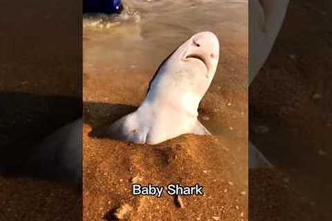 Clips You Will See Only Once 😱 #shorts