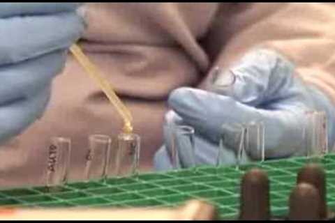Explore Medical Laboratory Technology