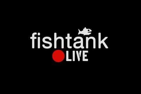 FISHTANK --temp stream while we fix the site :)