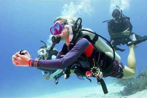 Curious About What Life As A Scuba Diver Might Offer You? Here's A Great Taster