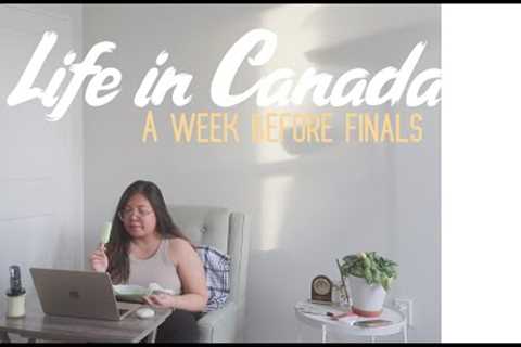 Life in Canada | A busy week (shopping, grocery, school)