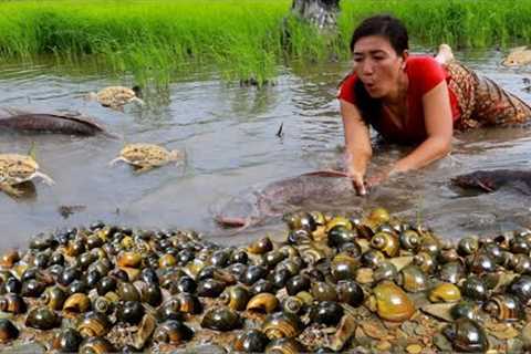 Adventure solo in forest- Catching big catfish in rice field -Grilled fish spicy +2cooking food