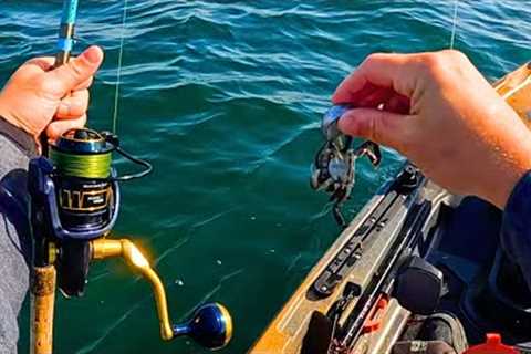 Jigging Crabs For Whatever Bites! (BIG Blackfish)