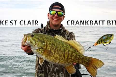 Lake St Clair Spring Fishing - 59 Bass on Crankbaits &amp; Baby Tubes!