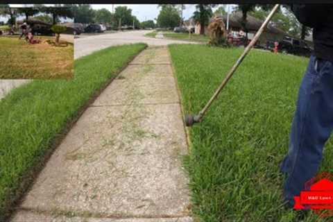 Lady Hired Us After Cutting Her Overgrown Yard For Free