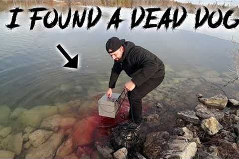 MAGNET FISHING on A FROZEN LAKE GONE WRONG FOUND DECAPITATED DOG (COPS CALLED)