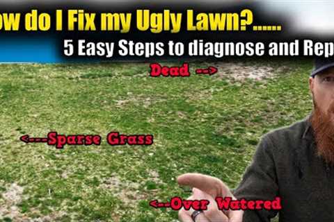 5 easy steps to identify and repair an UGLY LAWN. Spring Lawn Dead patches, brown grass, overwatered