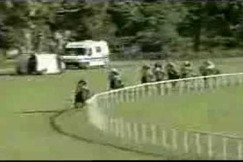 The best horse race ever!!! so funny