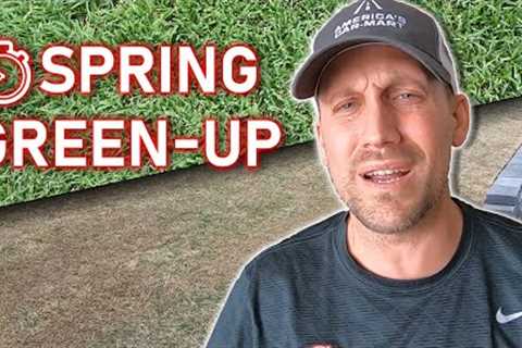 If Your Spring Lawn GREEN-UP is Slow, Here's the PROBLEM - Scalping Bermudagrass Only Helps a Little
