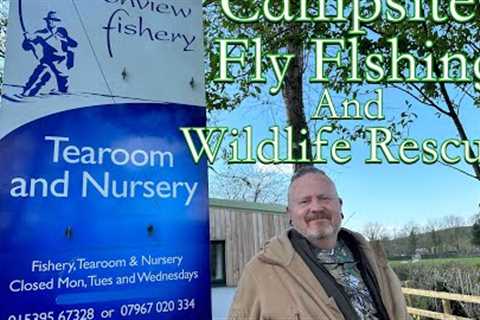 Farleton view fisheries campsite, Fly Fishing and Wildlife Rescue!