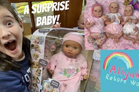 REBORN ONLINE SHOPPING HAUL! PLUS A SURPRISE BABY ANNABELL ARRIVES IN THE MAIL!