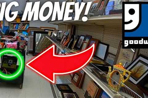 Profiting from a Thrift Store Cart Full of Bargains