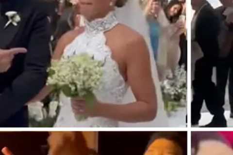 Sofia Richie's Gorgeous Wedding Video Includes Lionel Richie, Good Charlotte Performances &amp; Big ..