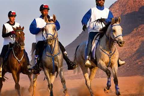 THE TOUGHEST HORSE RACE •  THE UAE ENDURANCE CUP RACE