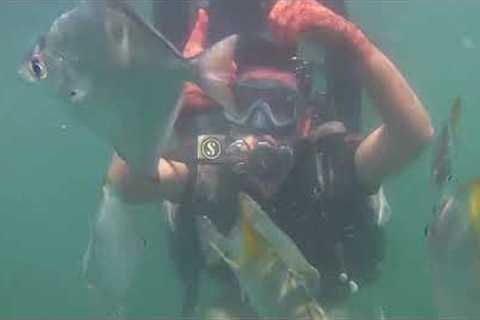 Enjoying Scuba Diving in Goa# Goa Travel Video# Viral Shorts# New Shorts# First Time Scuba Diving