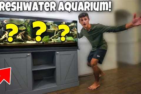BUYING My DREAM Freshwater Exotic FISH AQUARIUM!!