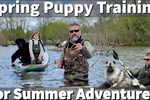 Spring Puppy Training For Summer Dog Adventures!