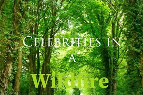 Celebrities in a Wildfire