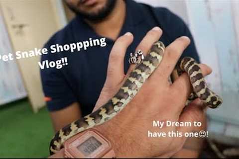 Pet Snake Shopping in MP!