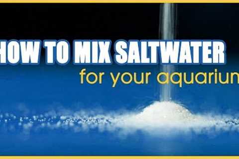 How to Mix Saltwater for Your Aquarium: A Step by Step Tutorial