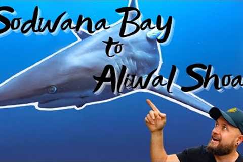THE COASTAL TOUR - Sodwana Bay to Aliwal Shoal (Scuba diving in South Africa)