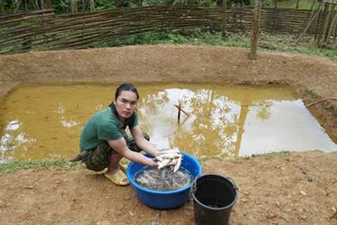 I caught a lot of fish in the stream and brought it back to the pond, farm life, survival alone