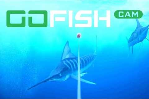 The GoFish Cam: Underwater HD Fishing Camera