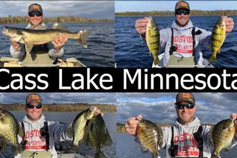 Fishing Cass Lake Minnesota