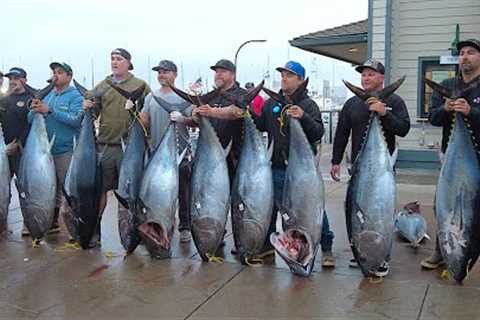 Big Bluefin Tuna Report | Wide Open Night Fishing San Diego Sportfishing Boats | Ensenada Madmacs