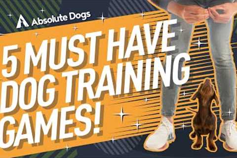 Our ALL-TIME Top 5 Dog Training Games ALL Dog Owners Need Today!