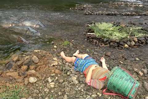 Survival skills. Build a fish-catching system by the river, Catch many fish