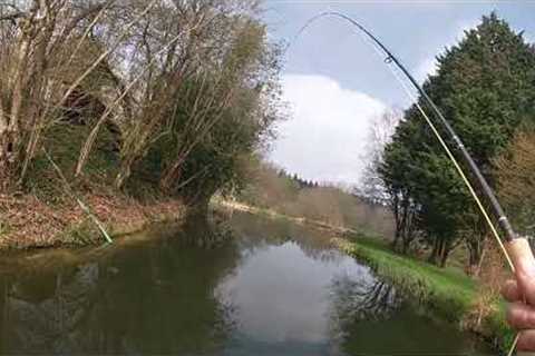 Spring Hill Trout Water - Spring 2023 Fly Fishing Fun