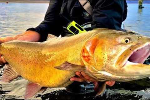 The Secret to Fly Fishing Pyramid Lake - Landed one of the BIGGEST Cutthroat in the WORLD!!