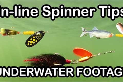 Inline Spinner Fishing Lure Tips and How To Fish Spinners (underwater fishing lures)
