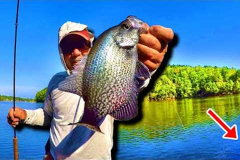THIS Method IS Second To None! Crappie Fishing From The Bank
