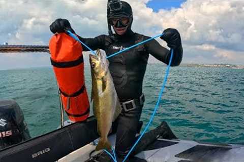 Devon Coast Boat Spearfishing Adventure Catch and Cook