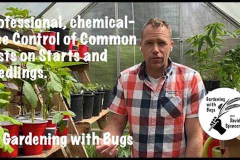 Professional, Chemical-free Control of Common Pests on Starts and Seedlings