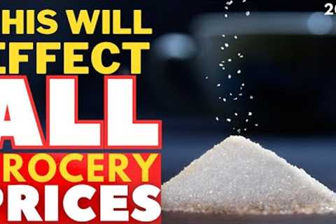 BIGGEST GLOBAL SUGAR SHORTAGE To SURGE Food Inflation &amp; food shortage