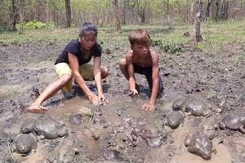 Survival skills: Found and Catch many Bullfrog for food in forest - Cooking bullfrog for dinner