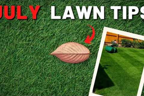 July DIY Lawn Care Calender // Fertilize, Weeds &amp; Mow