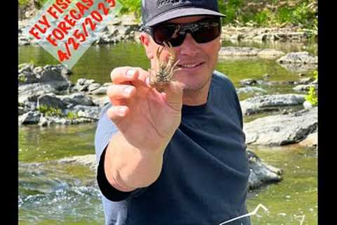 Mossy Creek Fly Fishing Forecast 4/25/2023